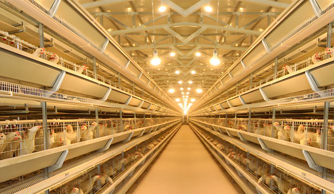 層疊式自動化養(yǎng)殖設備